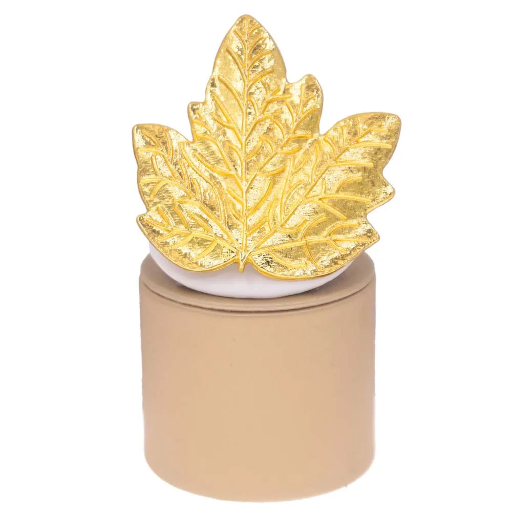 Bold Gold-Plated Ring Set for Women – Assorted Statement Elements & Shapes